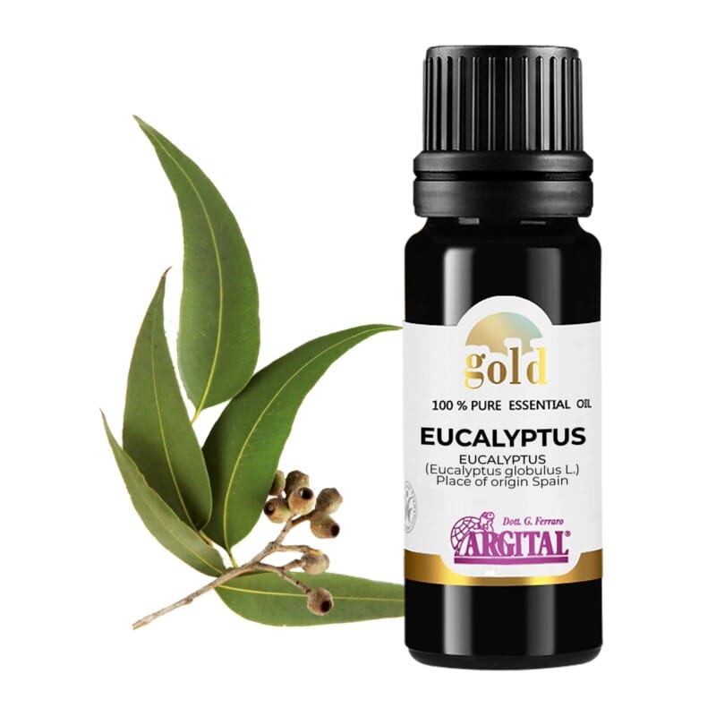 vaj esenical eukalipti bio argital