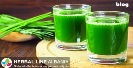 Bar Elbi Bio