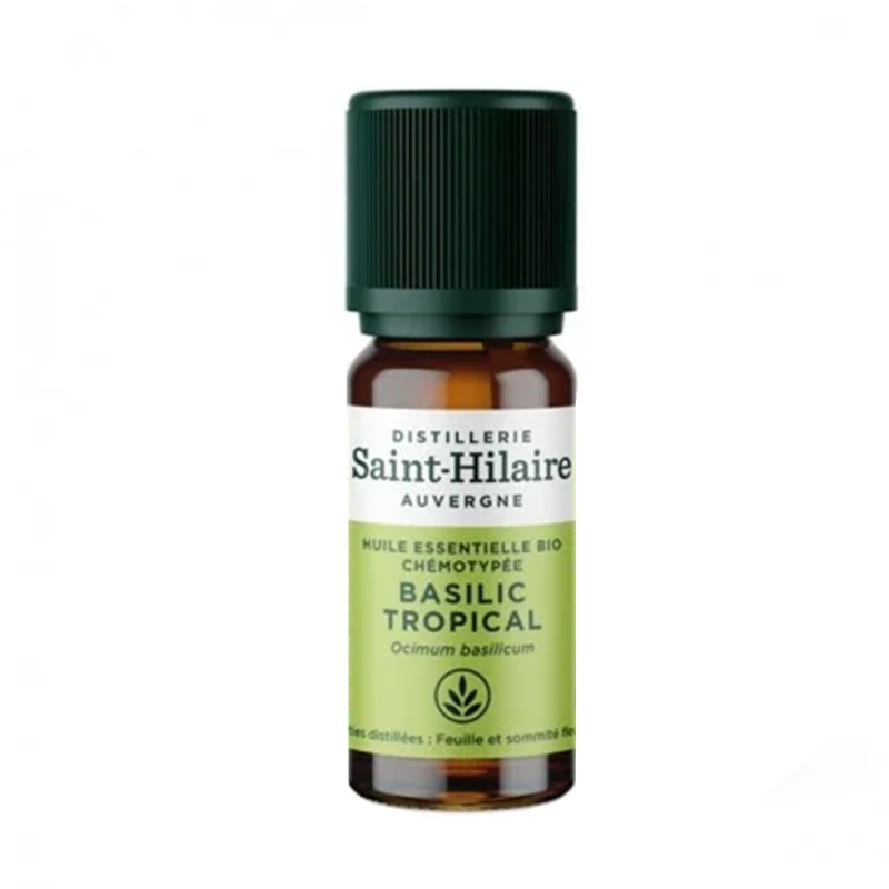 Vaj esencial borziloku (basil)